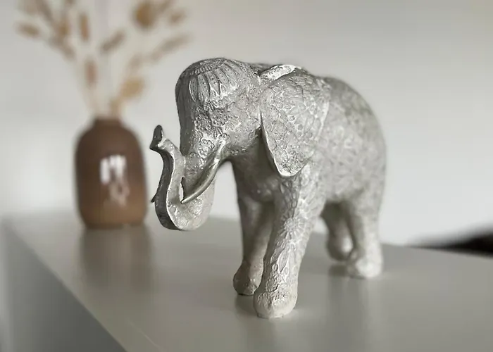 Kobra Room, 4 Personen 아파트